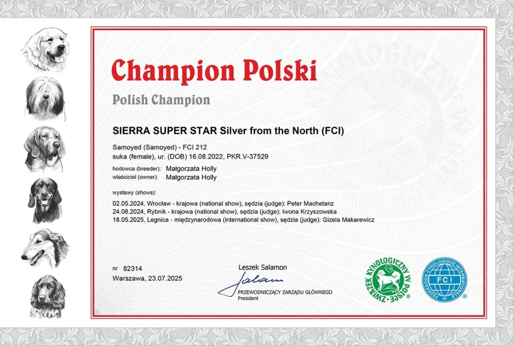 Champion Polski