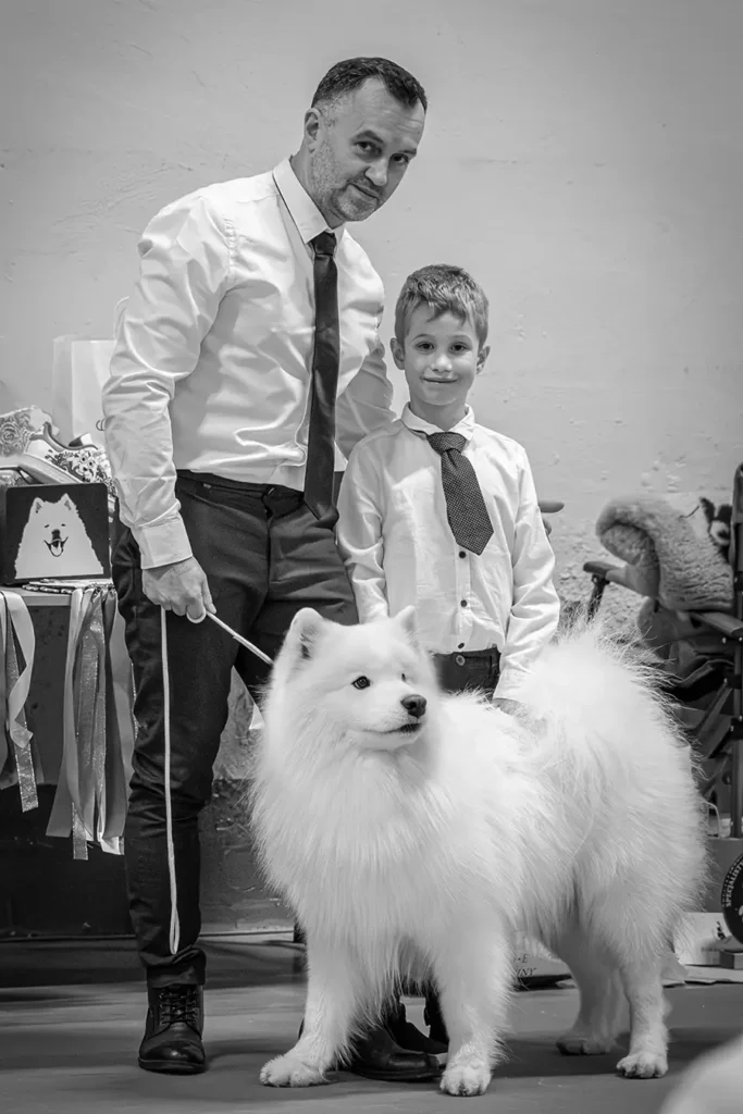 Samson Mighty Star Silver from the North w klasie champion na wystawie samoyedów w Kielcach