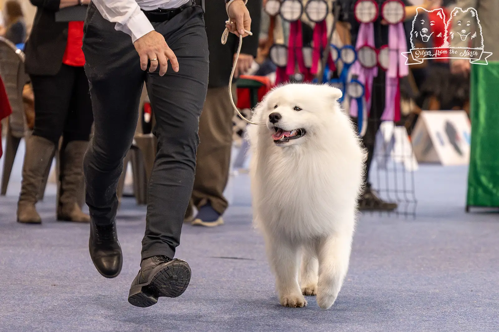 FeHoWa Winter Dog Show Budapest 2026